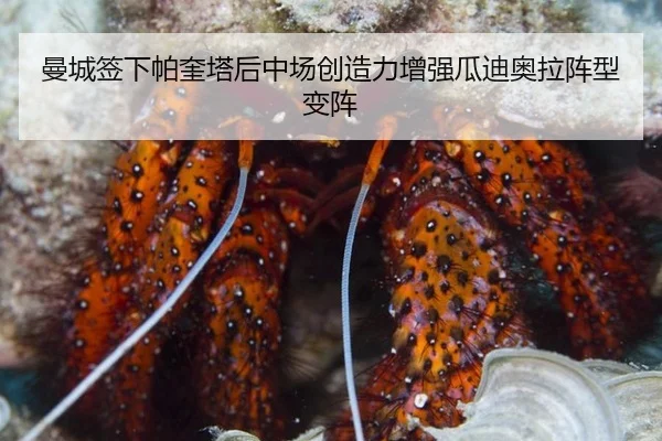 曼城签下帕奎塔后中场创造力增强瓜迪奥拉阵型变阵